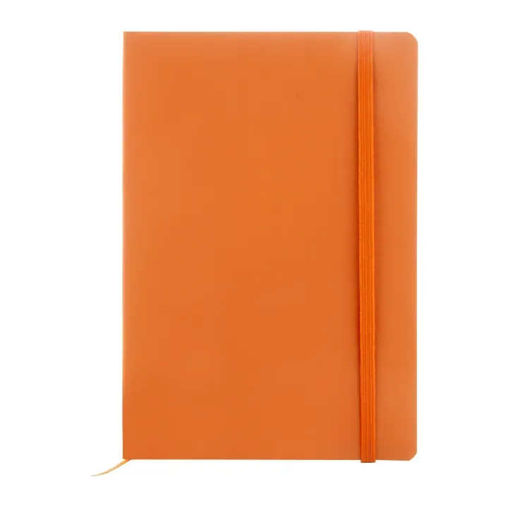 RPU notebook - AP808172 (ANDA#03)